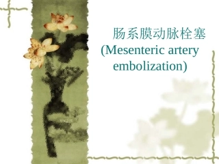 肠系膜动脉栓塞