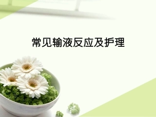 常见输液反应及护理