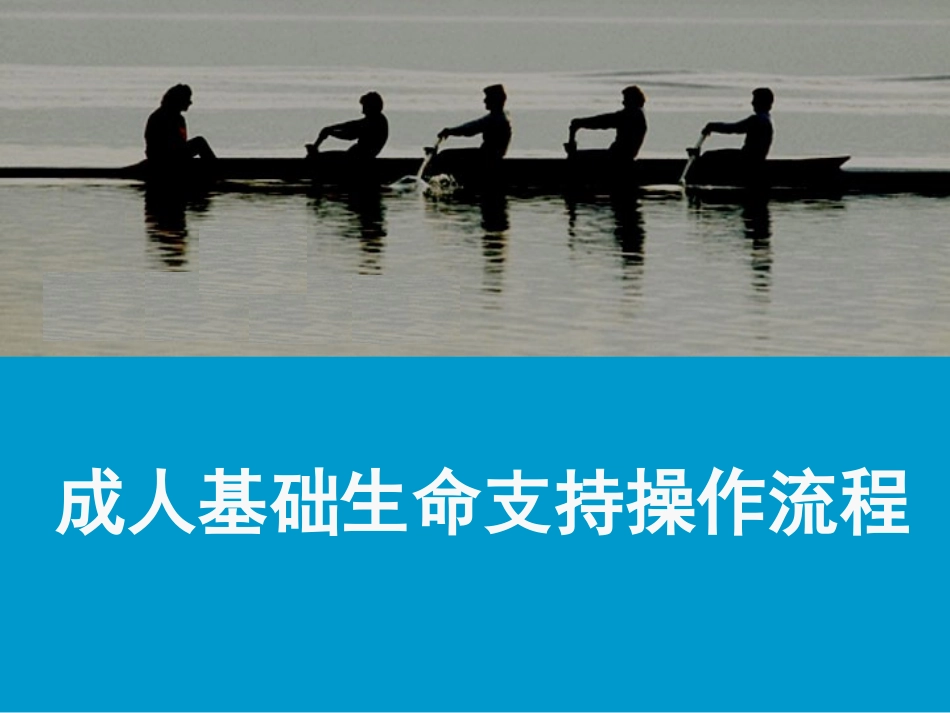 成人基础生命支持_第1页