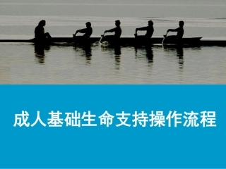 成人基础生命支持