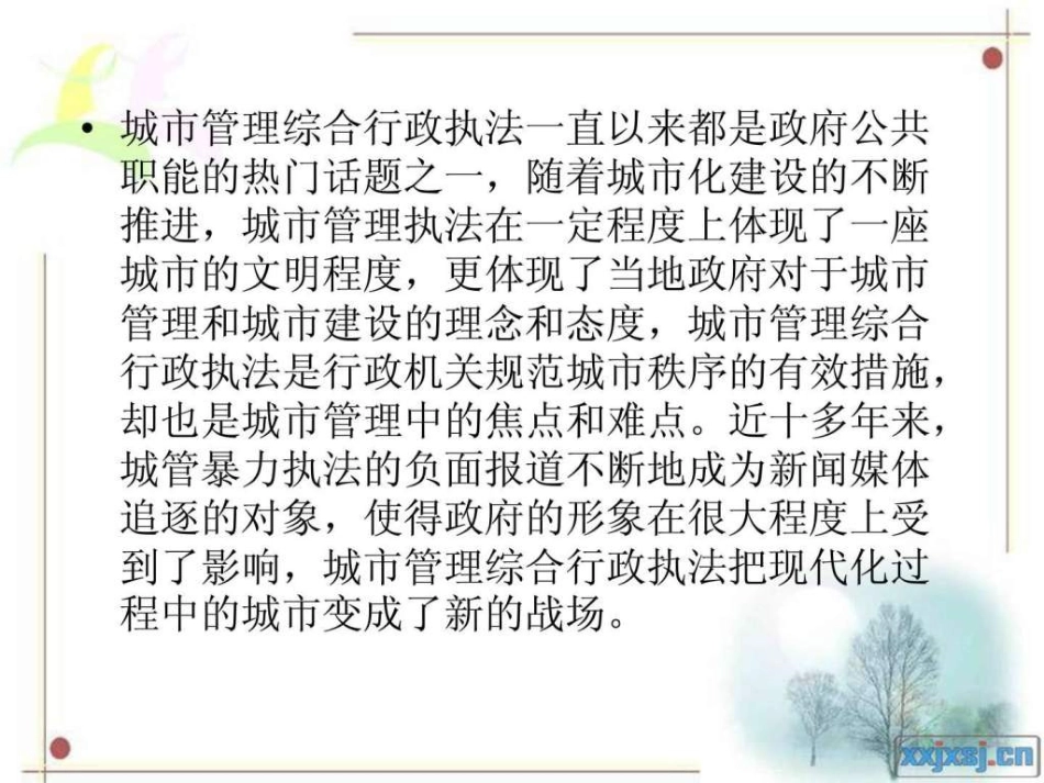 城市管理综合执法_第3页