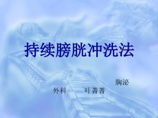 持续膀胱冲洗讲义