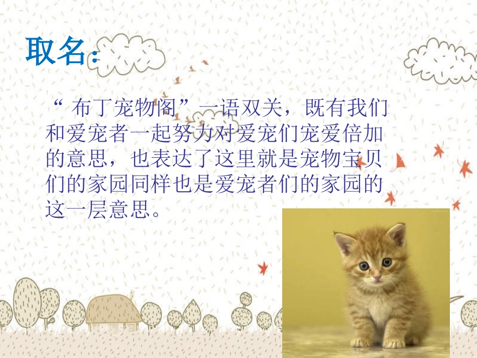 宠物店创业计划书_第2页