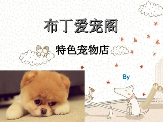 宠物店创业计划书