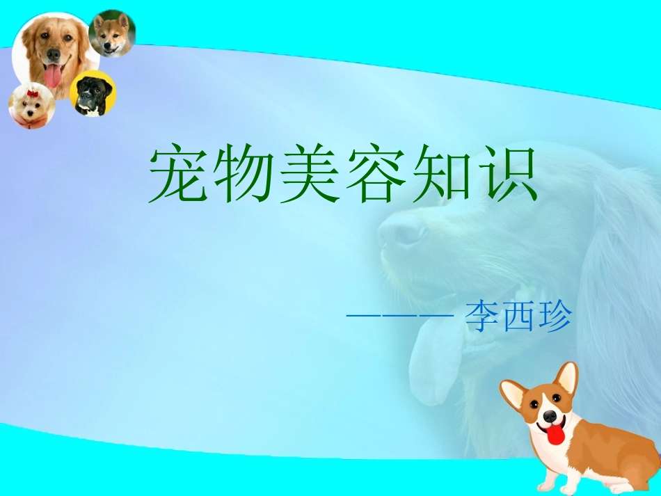 宠物美容知识概述_第1页