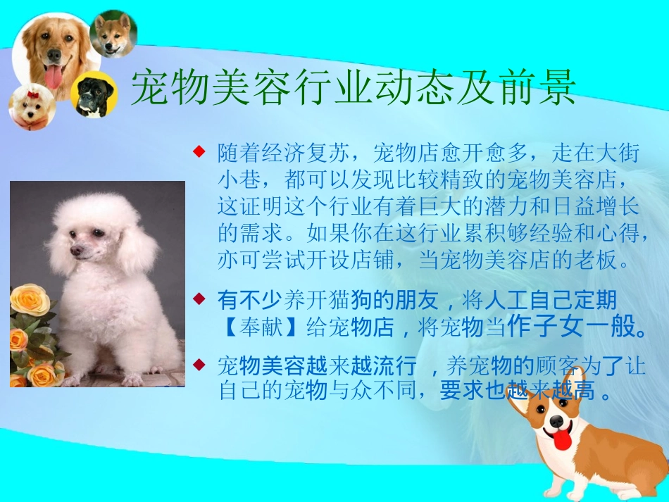 宠物美容知识概述_第2页