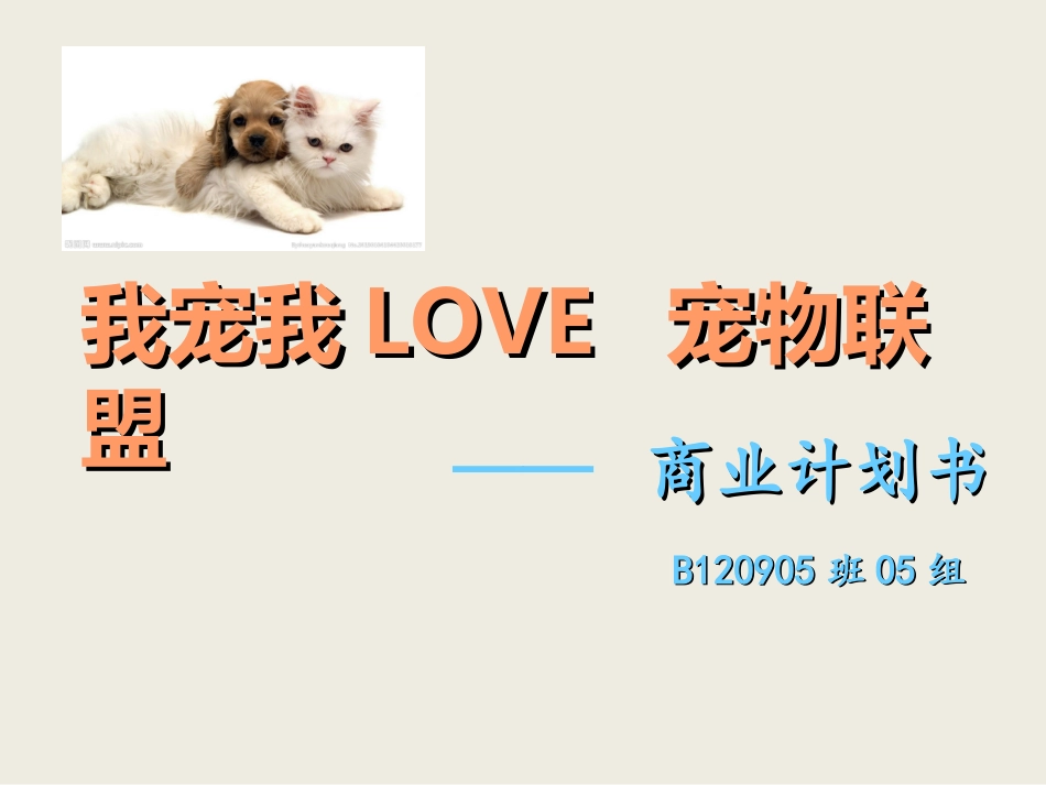 宠物商业计划书_第1页