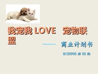 宠物商业计划书