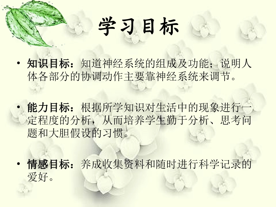 初中生物神经系统的组成_第3页