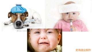 传染病预防班会