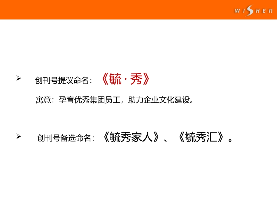创刊号策划方案_第3页