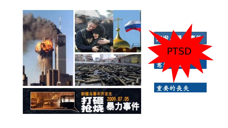 创伤后应激障碍PTSD的治疗解析_第2页