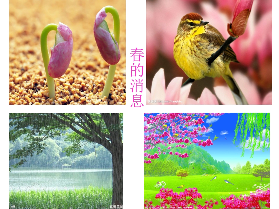 春的消息课件_第3页