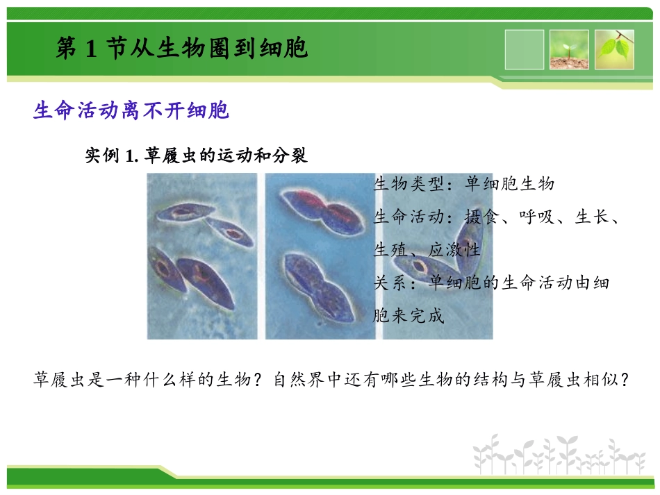 从生物圈到细胞_第3页