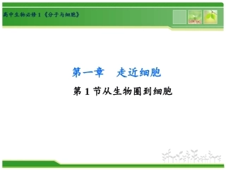 从生物圈到细胞
