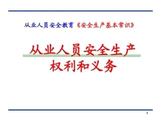 从业人员安全生产的权利和义务