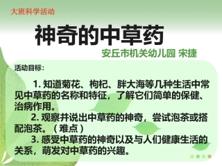 大班科学神奇的中草药