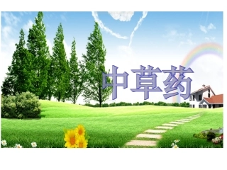 大班课件中草药