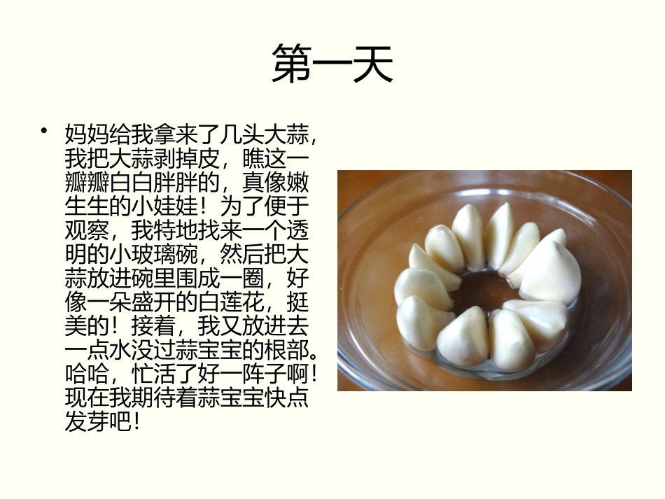 大蒜生长记录_第2页