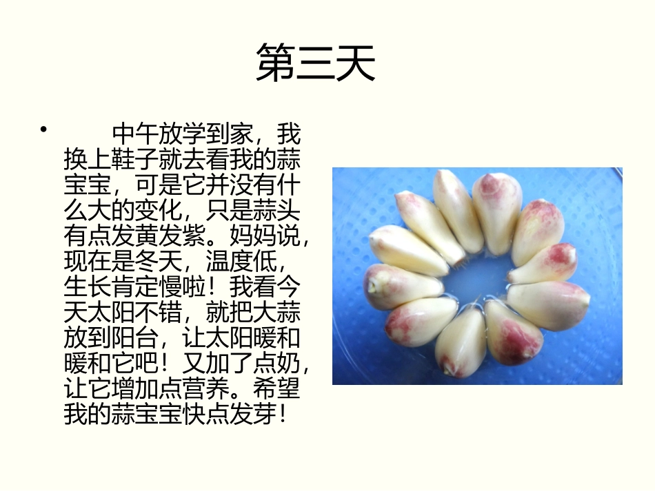 大蒜生长记录_第3页