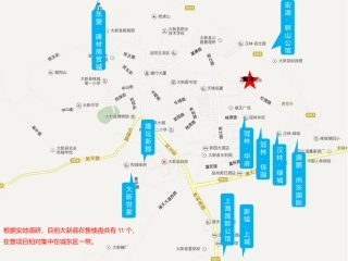大新项目前期市场分析