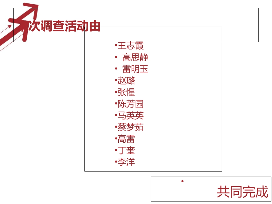 大学生对帆布鞋的调查报告_第2页