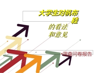 大学生对帆布鞋的调查报告