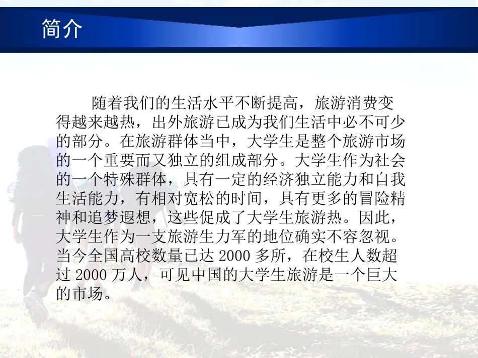 大学生外出旅游调查报告_第2页