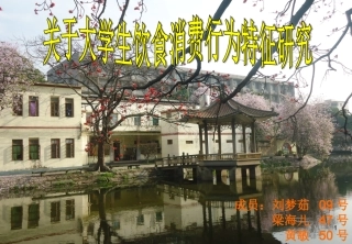 大学生饮食调查报告