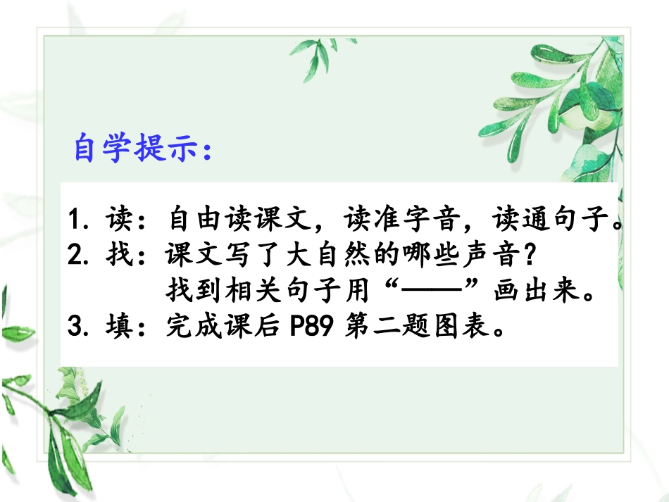 大自然的声音课件_第3页