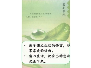 大自然的声音课件
