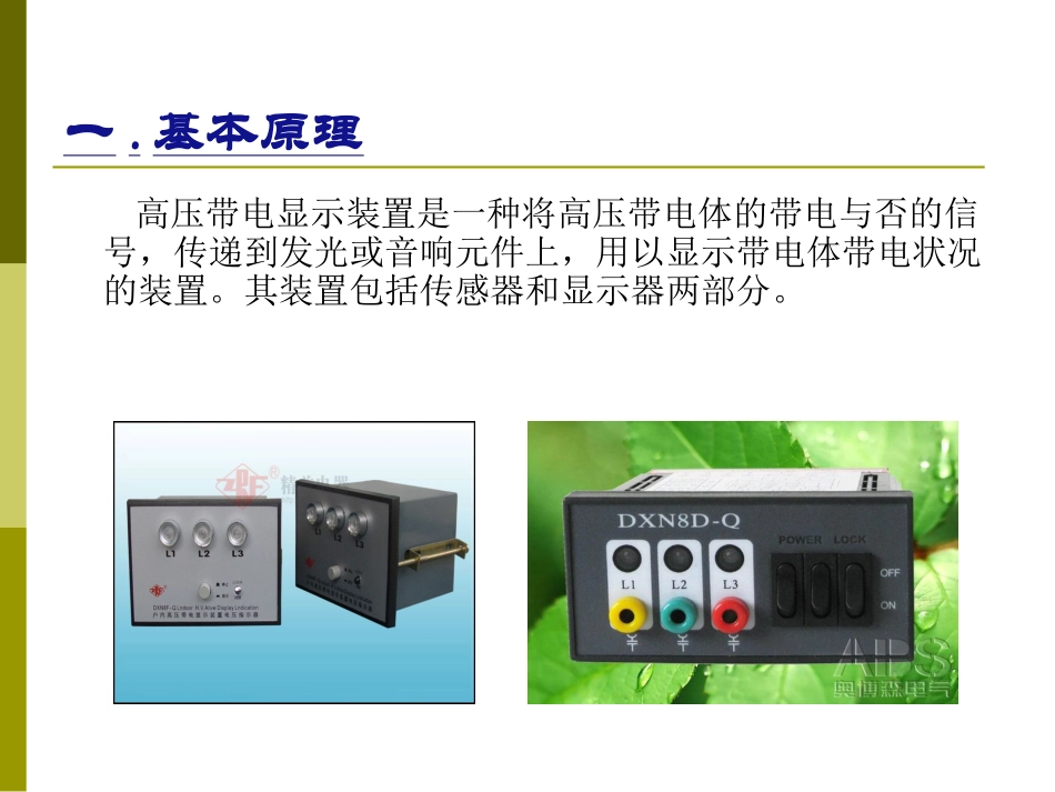 带电显示装置原理及维护_第2页