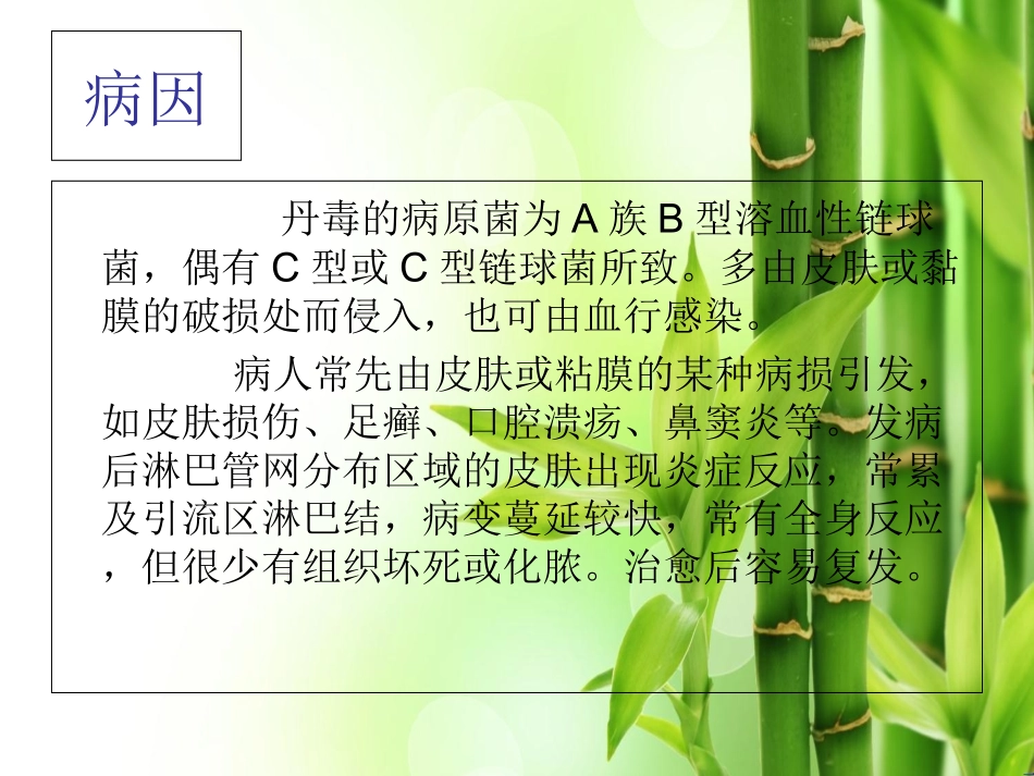 丹毒护理查房讲义_第3页