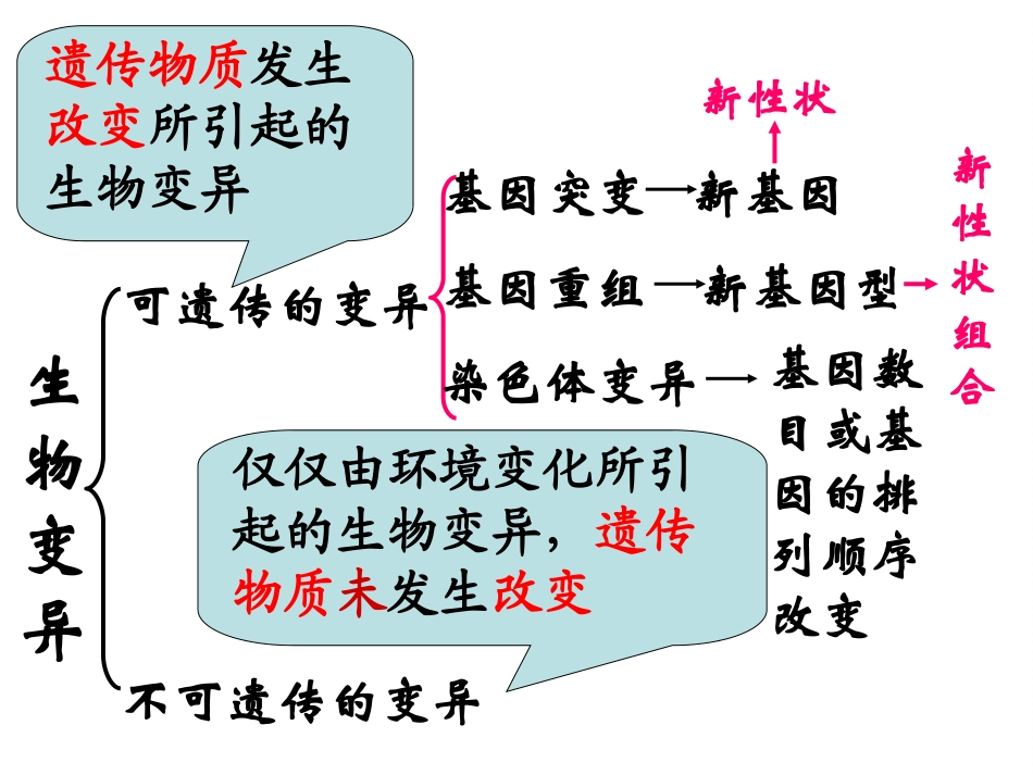 单倍体育种多倍体育种课件_第2页