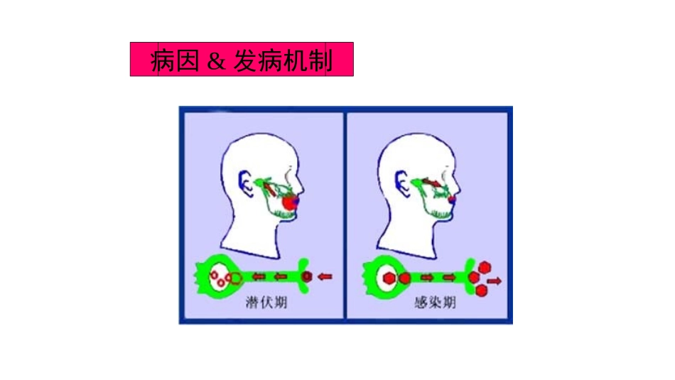 单纯疱疹病毒性脑炎_第3页