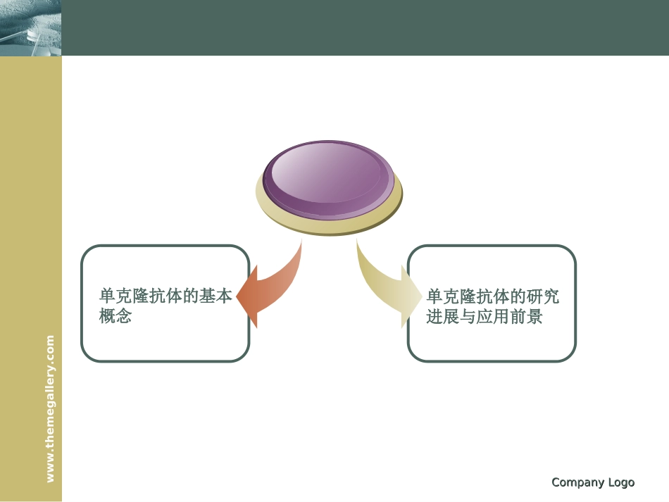 单克隆抗体的研究进展和应用前景_第2页