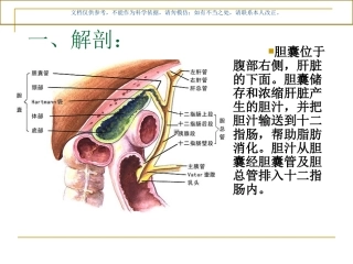胆囊切除术胆总管切开取石术课件