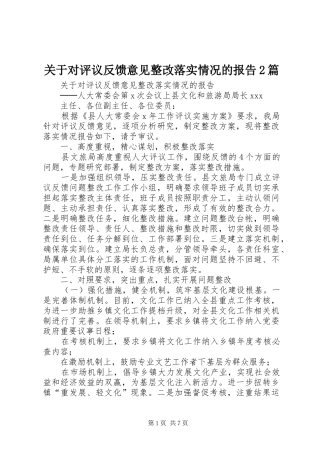 关于对评议反馈意见整改落实情况的报告篇