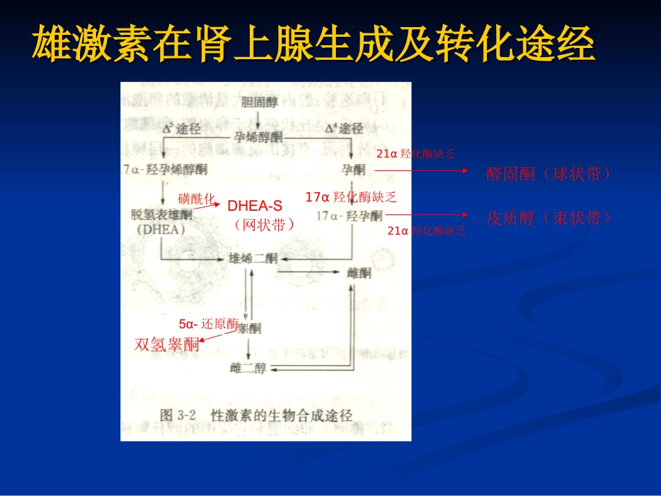 地塞米松抑制试验_第3页