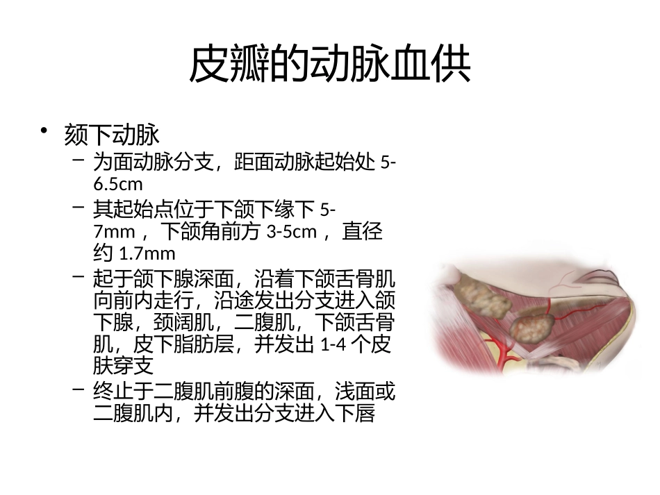 邓思敏颏下岛状瓣_第2页