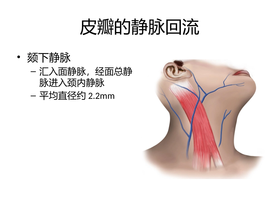 邓思敏颏下岛状瓣_第3页