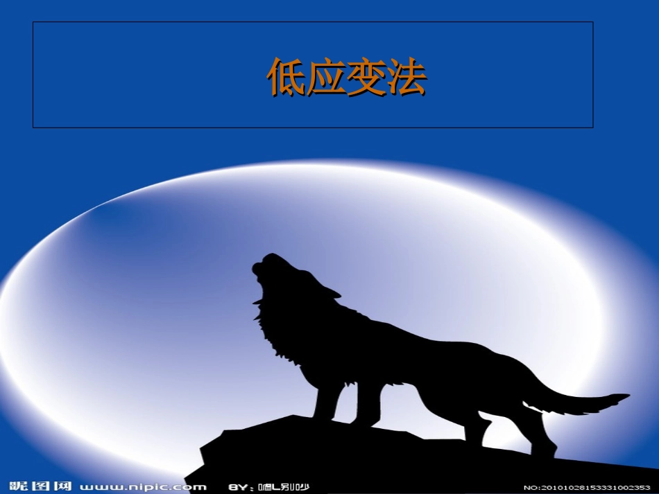 低应变反射波法_第1页