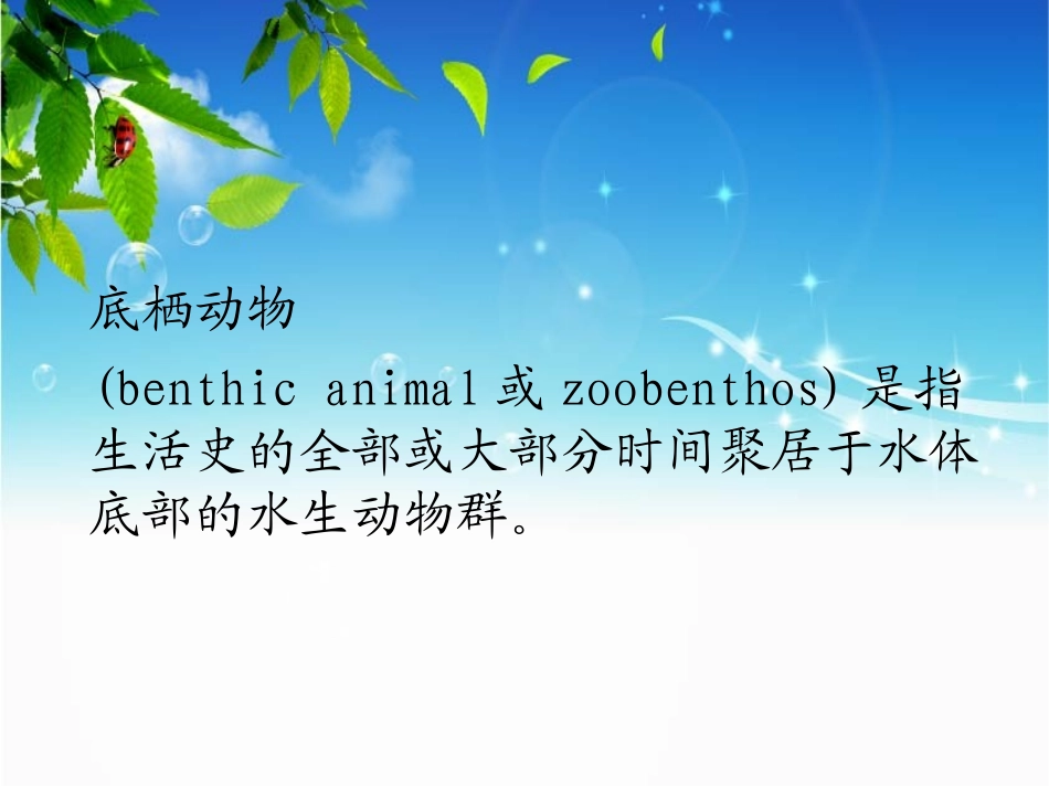 底栖动物概述_第3页