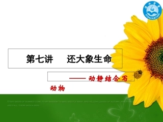 第七讲动静结合写动物