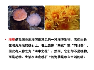 第一单元第一节腔肠动物和扁形动物