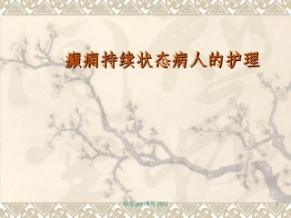 癫痫持续状态病人的护理课件