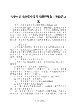 关于对巡视巡察中发现问题开展集中整治的方案