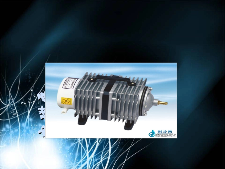 电磁泵工作原理_第1页