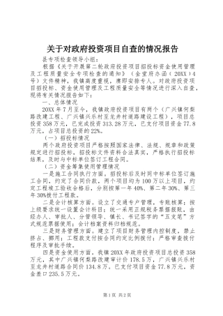关于对政府投资项目自查的情况报告
