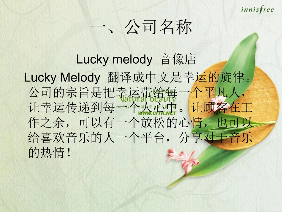 电子商务创业方案设计_第2页